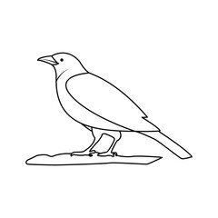 Crow single continuous one line out line vector art  drawing  and tattoo design
