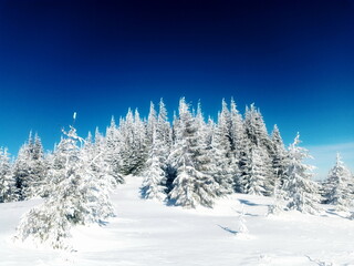 Fototapeta na wymiar Alpine majesty in winter