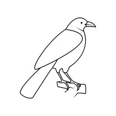 Crow single continuous one line out line vector art  drawing  and tattoo design
