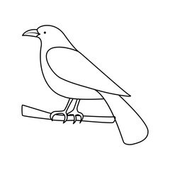 Crow single continuous one line out line vector art  drawing  and tattoo design
