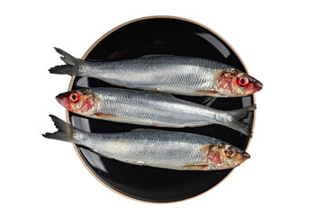 herring fish fresh raw seafood tasty eating cooking appetizer meal food snack on the table copy space food background rustic top view