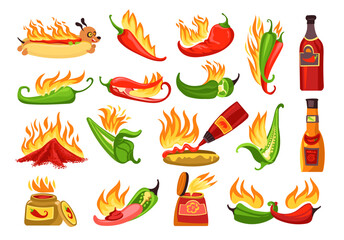 Cartoon hot sauce. Chili ketchups in different bottles. Salsa jars. Red or green peppers. Spicy hotdog. Paprika taste. Burning jalapeno. Mexican kitchen. Spice products. Splendid vector set