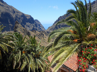 Fototapeta na wymiar The beautiful Masca the mountain municipality in the north of Tenerife, Canary Islands