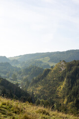 Fototapeta premium Wonderful nature scenery with forested rolling hills and green grassy meadows in morning light. Wanderlust travel concept