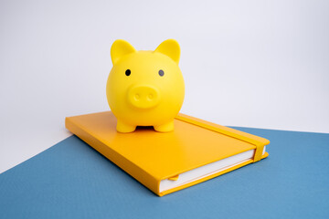 Piggy bank concept for savings, accounting, bank and business account. Small piggy bank for money...