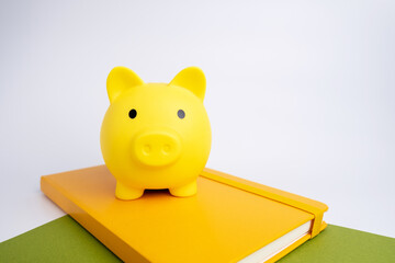Piggy bank concept for savings, accounting, bank and business account. Small piggy bank for money...