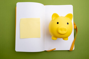 Piggy bank concept for savings, accounting, bank and business account. Small piggy bank for money...