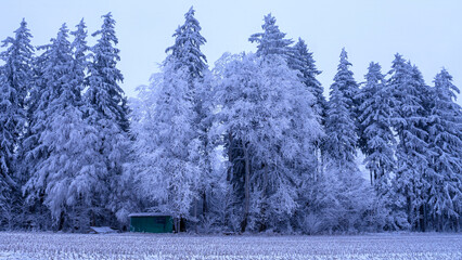 frostige Schneelandschaft mit weißen Bäumen