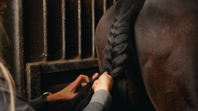 Horse grooming routine with blonde woman in action