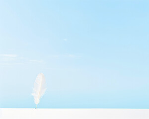 Single white feather standing on a white surface against a clear blue sky, pure and serene.