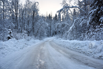 Obraz premium Winter snowy road through the forest.