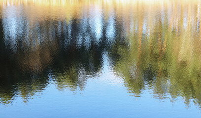 Abstract water tree reflections. Reflection in the water of trees growing on the banks. Colorful...