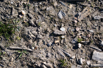 Fondo de camino de tierra con piedras.