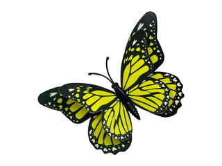 A beautiful yellow butterfly on a white background. Interior decoration in the form of a yellow butterfly. Decor for curtains and tulle butterfly
