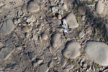 Fondo de camino de tierra con piedras.