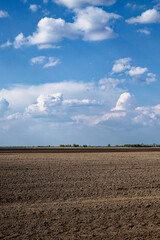 Wide open field with rich, brown, ploughed earth.