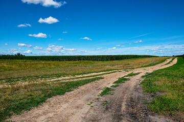 Fototapeta na wymiar A dirt path winds through a green field under a blue sky dotted with fluffy clouds, leading towards the horizon.