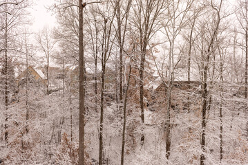 Winter woods with snowy trees with executive homes in the background. Winter holidays and home ownership concept.