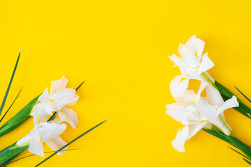 Fototapeta na wymiar Irises flowers on yellow background