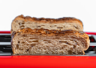 Two slices of fresh toast bread in a electric toaster
