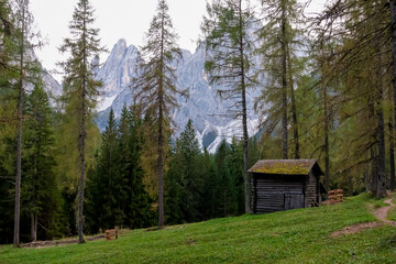 Wooden hut on alpine meadow surrounded by idyllic conifer forest. Scenic view of majestic mountain peaks of Sexten Dolomites, South Tyrol, Italy, Europe. Hiking in panoramic Fischleintal, Italian Alps