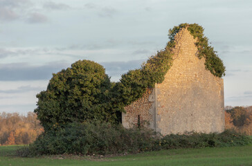 Derelict housein the middle of a field