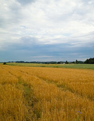 Obraz premium Countryside in northern Poland Kashubia.