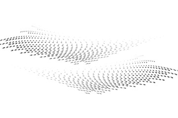 3D flowing dots particles wave pattern. Black curved halftone gradient. Isolated on white background. Vector design for technology, science, music, modern