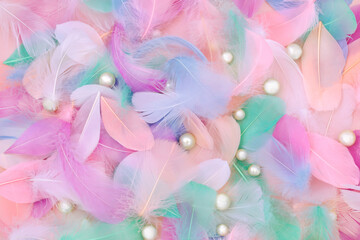Feather and oyster pearl abstract colorful background. Soft natural nature feminine composition.