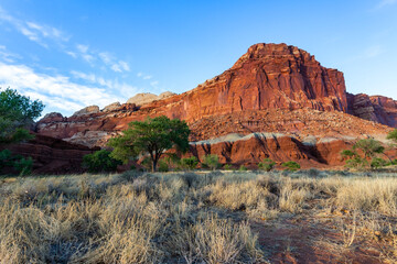 Beautiful landscape with the orange color rock formation in the Capitol Reef National Park, Utah - Powered by Adobe