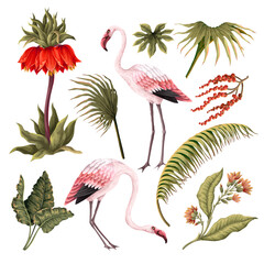 Pink flamingos and exotic flowers flowers. Vector.