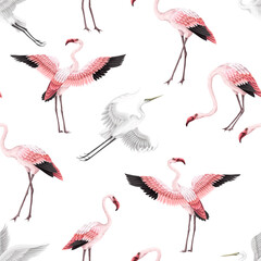 Seamless pattern with pink flamingos and white herons. Vector.