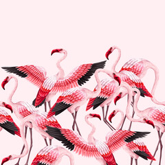Border with pink flamingos. Vector.