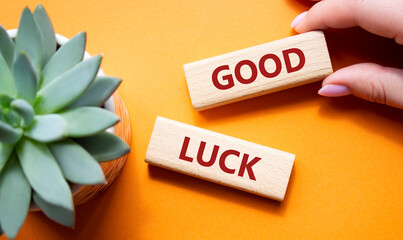 Good luck symbol. Wooden blocks with words Good luck. Beautiful orange background with succulent plant. Businessman hand. Business and Good luck concept. Copy space.