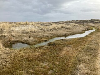 Blick auf die Küstenlandschaft der Ostfriesischen Insel Juist in der Nordsee