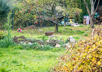 Fototapete bei efototapeten.de bestellen   