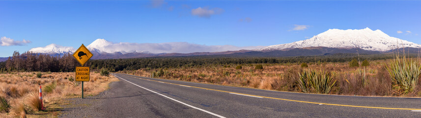 Road to Tongariro National Park panoramic view