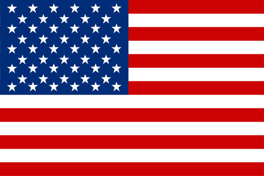 country flag. USA flag. vector image