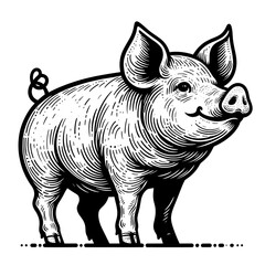 An illustration of Pig whole body