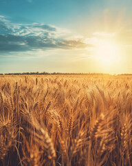 photo of a vast wheat field on a warm afternoon with sun shining in the right side of the frame, flares in camera lens, cinematic lighting, photorealistic, landscape photography