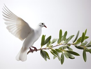 Dove Carrying an Olive Branch Peace and Harmony Isolated on White Background AI Generated