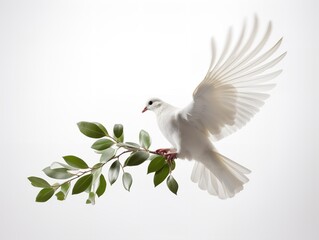 Obraz premium Dove Carrying an Olive Branch Peace and Harmony Isolated on White Background AI Generated