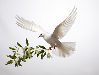 Obraz premium Dove Carrying an Olive Branch Peace and Harmony Isolated on White Background AI Generated