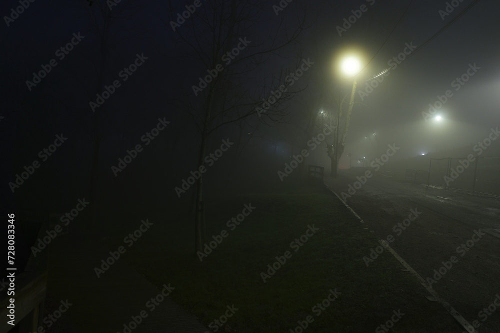 Canvas Prints foggy night in the park