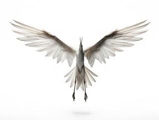 Obraz premium Origami Crane Taking Flight Hope and Elegance Isolated on White Background AI Generated