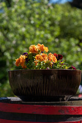 beautiful orange flower arrangement in brown ceramic pot on green background