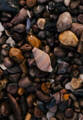 close up of a pebble