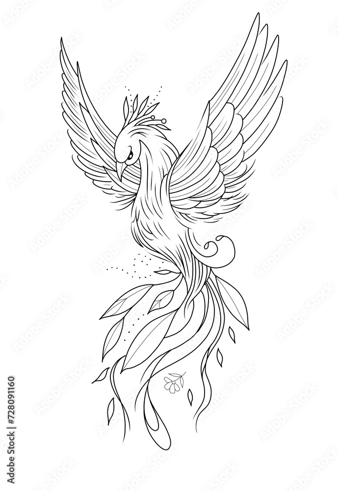 Wall mural illustration, sketch, tattoo design, phoenix bird