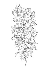 illustration, sketch, tattoo design, snake and flowers