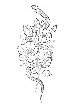 illustration, sketch, tattoo design, snake and flowers